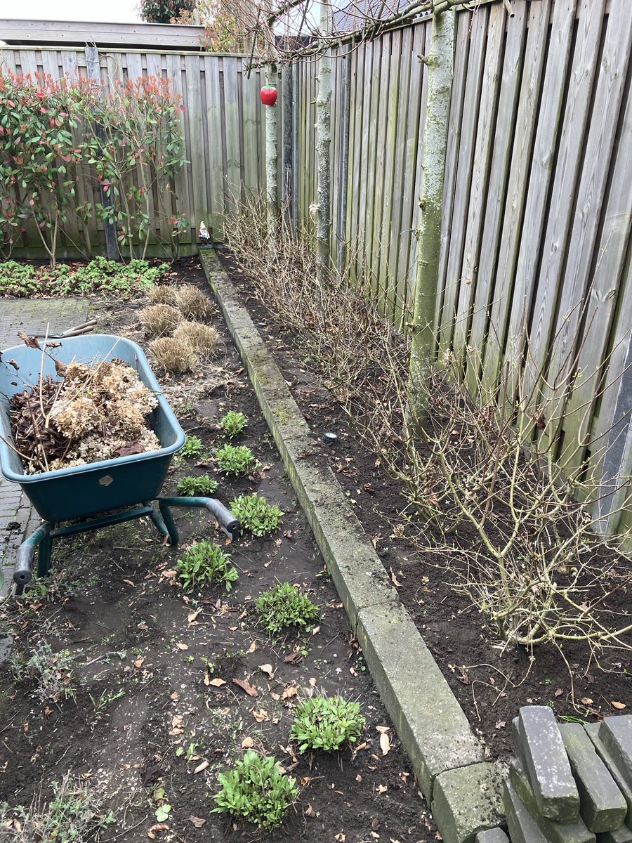 Beautiful Garden tweet media