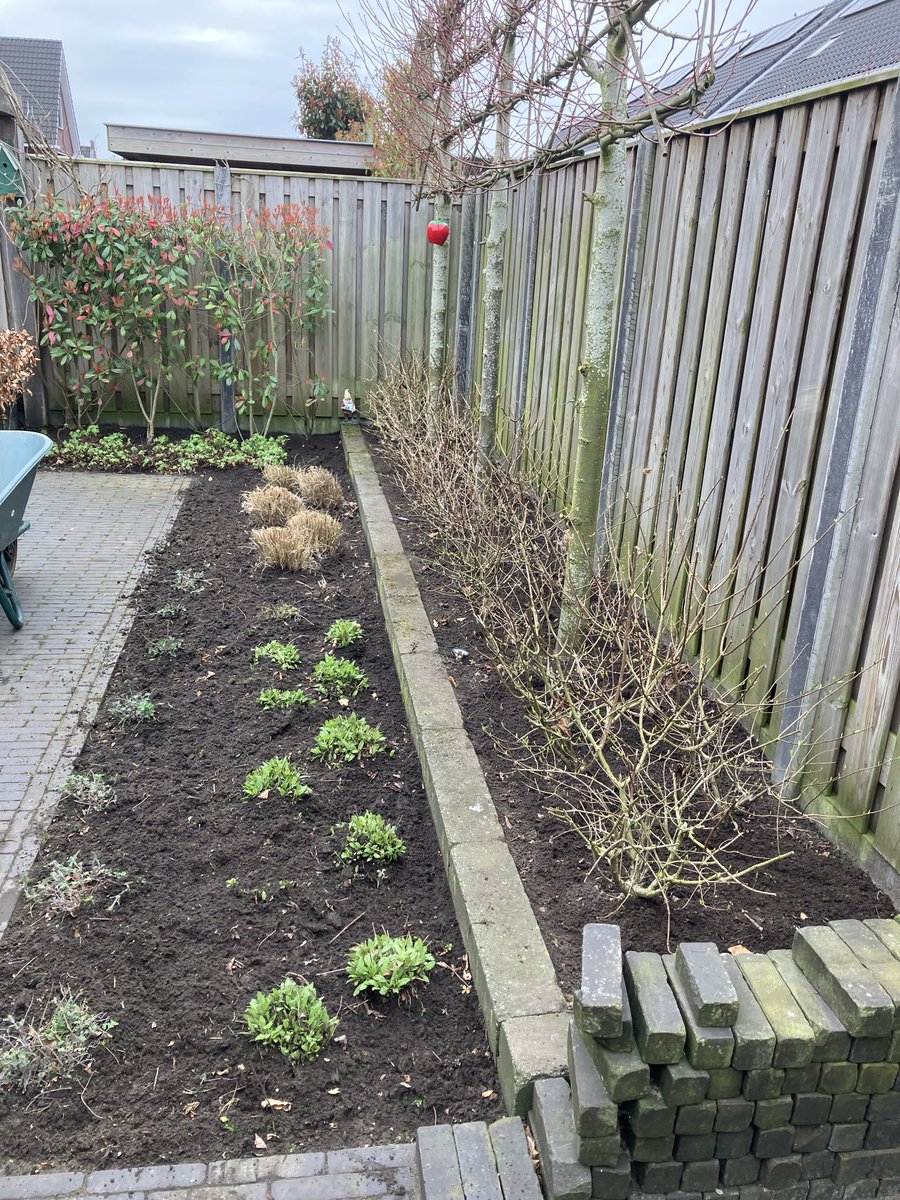 Beautiful Garden tweet media