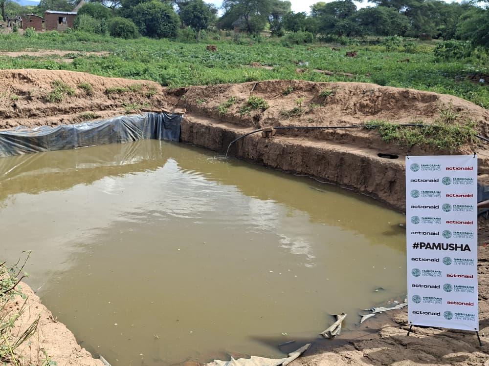 Fambidzanai Permaculture Centre ZWE tweet media