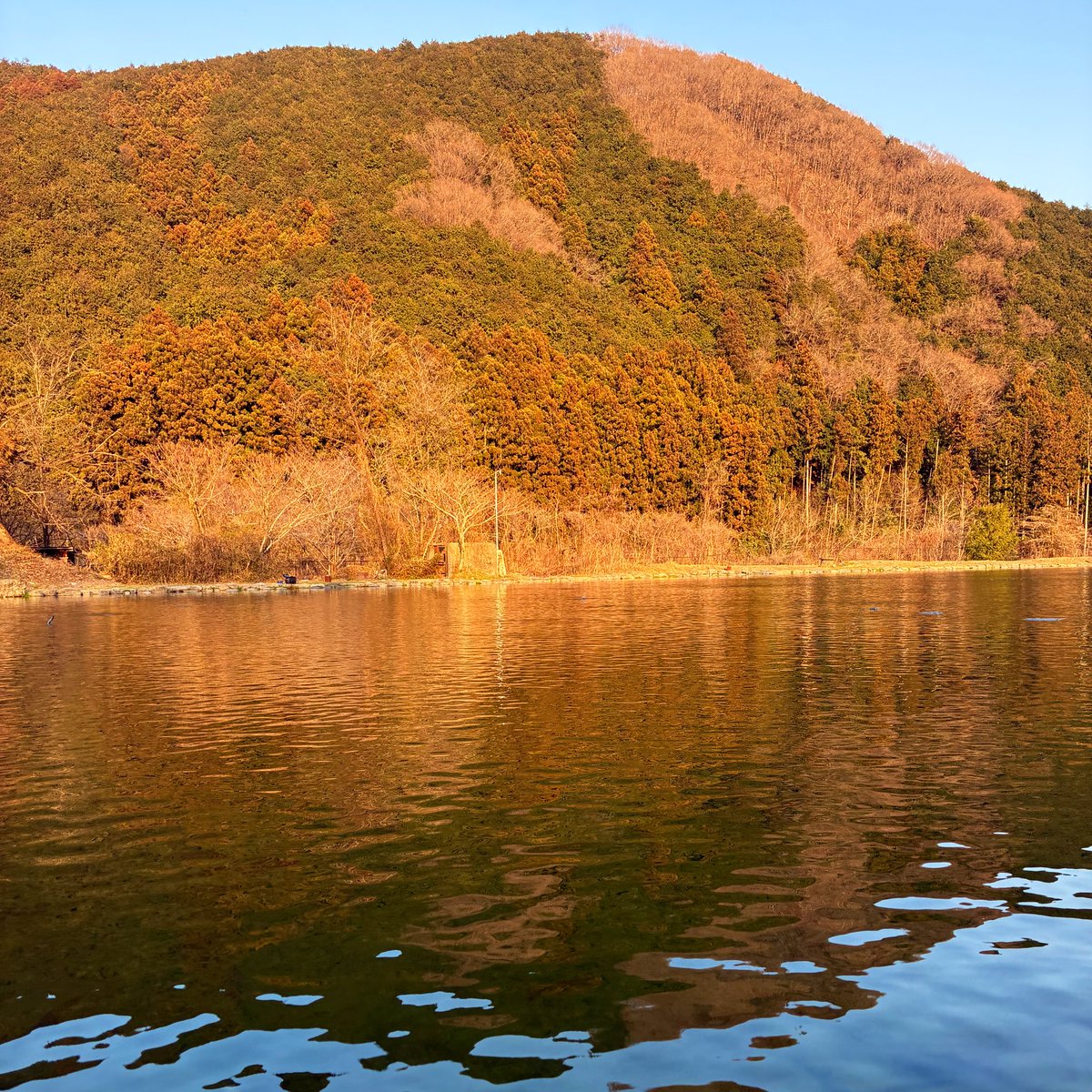 たかいち🎣 tweet media