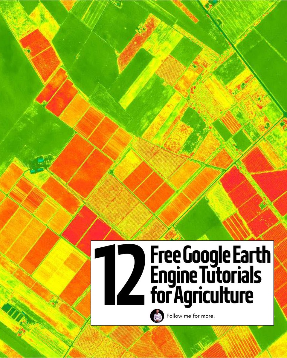 Mashford Mahute tweet media