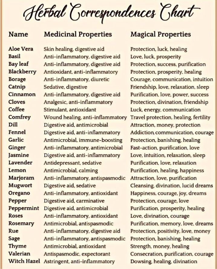 Water Monkey🐒 tweet media