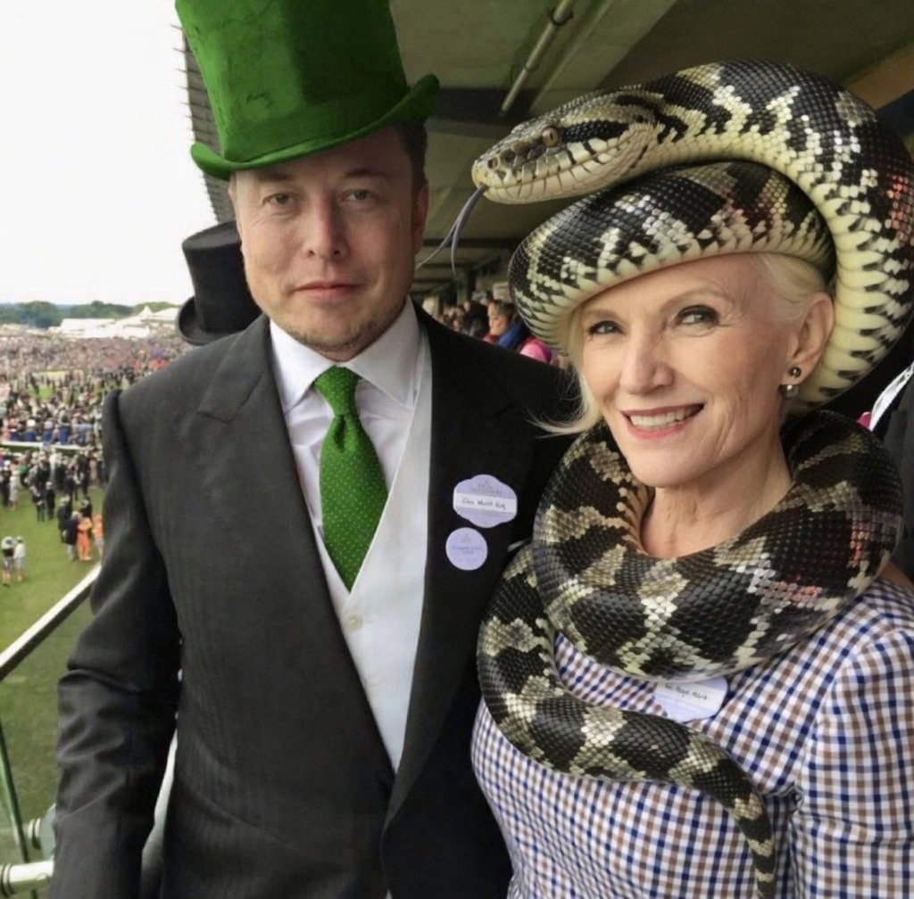 NowIsAllUHav 🏴☠️ tweet media