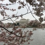 Photo by Jae Kim, MD (@JaeKimMD)