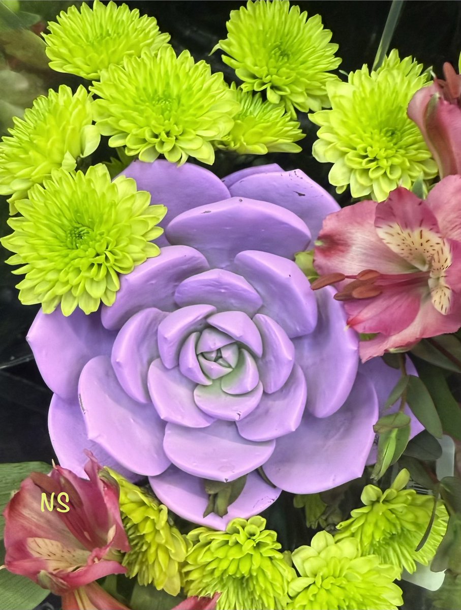 💃NS💃🇺🇸🕊 tweet media