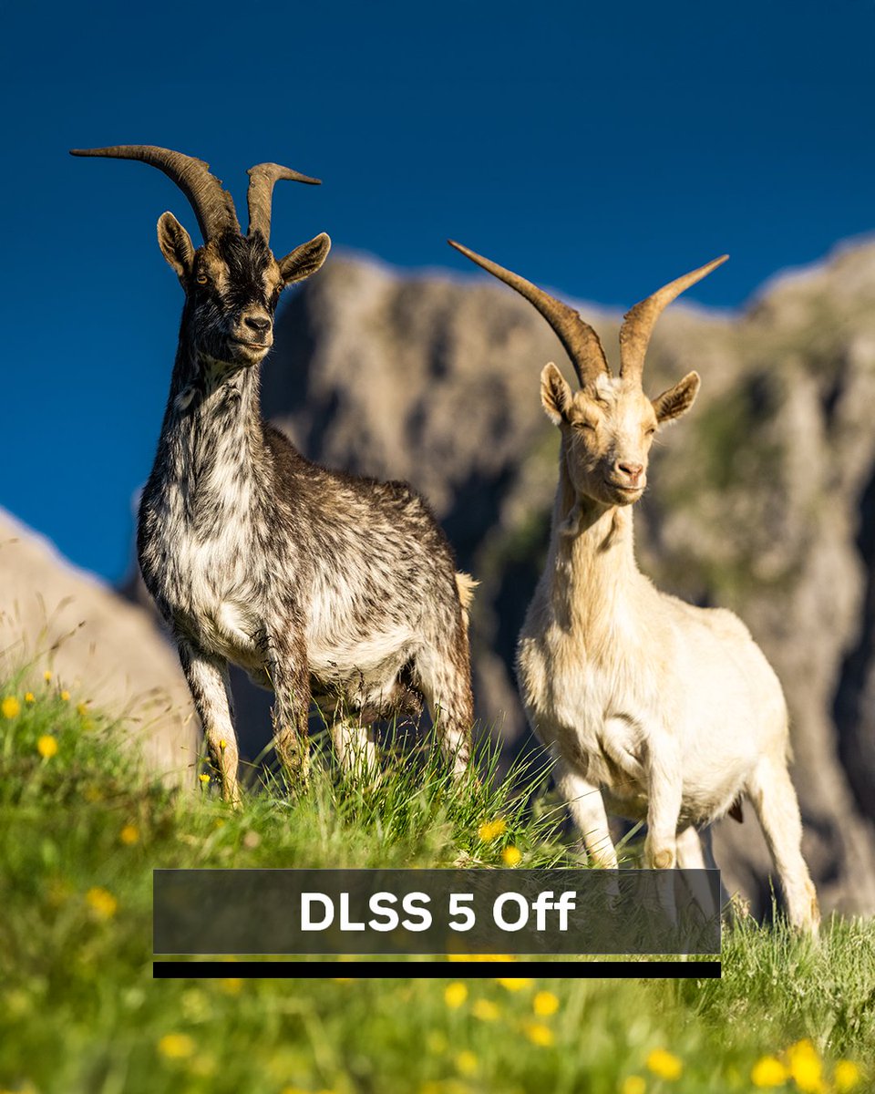 Sweat's Den tweet media