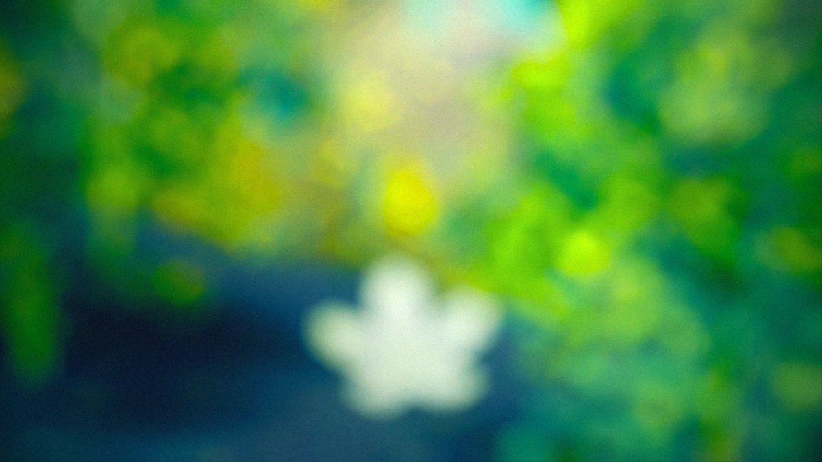 Adamir Sefwick tweet media