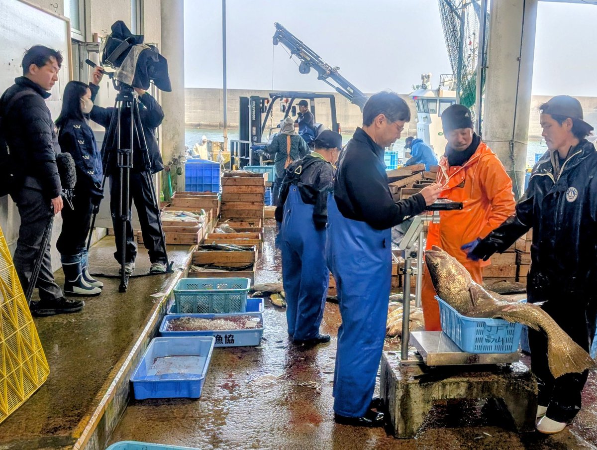 高山漁協でNHK鹿児島の取材を受けました✨
4月1日(水)18時10分〜「情報WAVEかごしま」で放送予定です🐟️