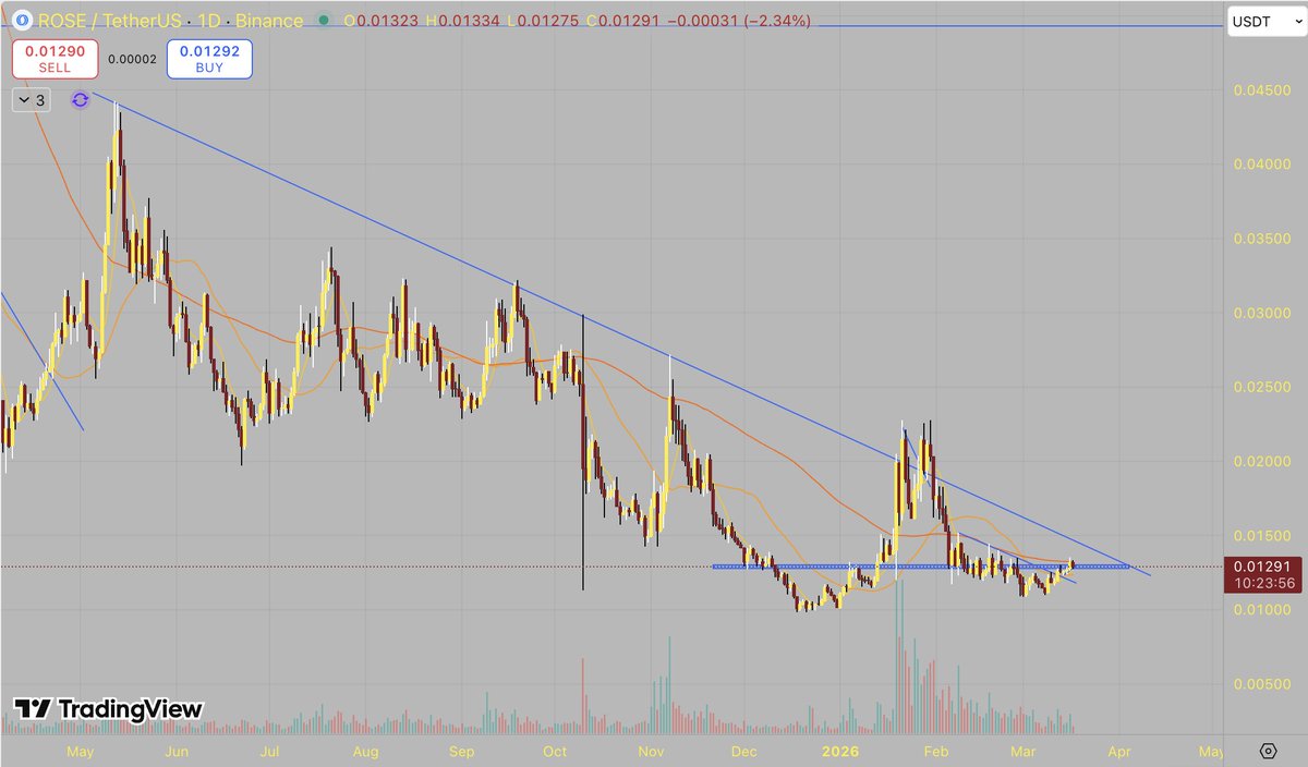 Los Crypto Hermanos 🐔🛎️ tweet media