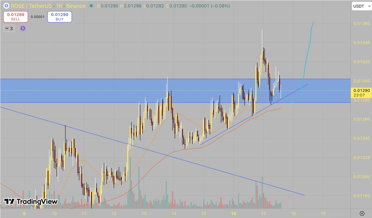 Los Crypto Hermanos 🐔🛎️ tweet media