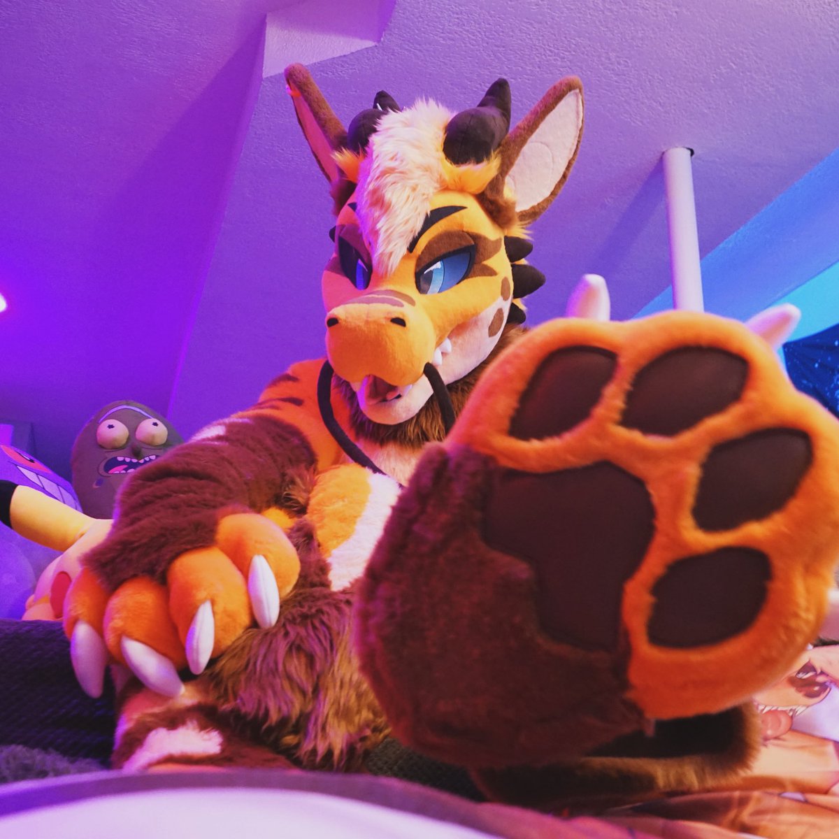 Ronno👉TFF tweet media