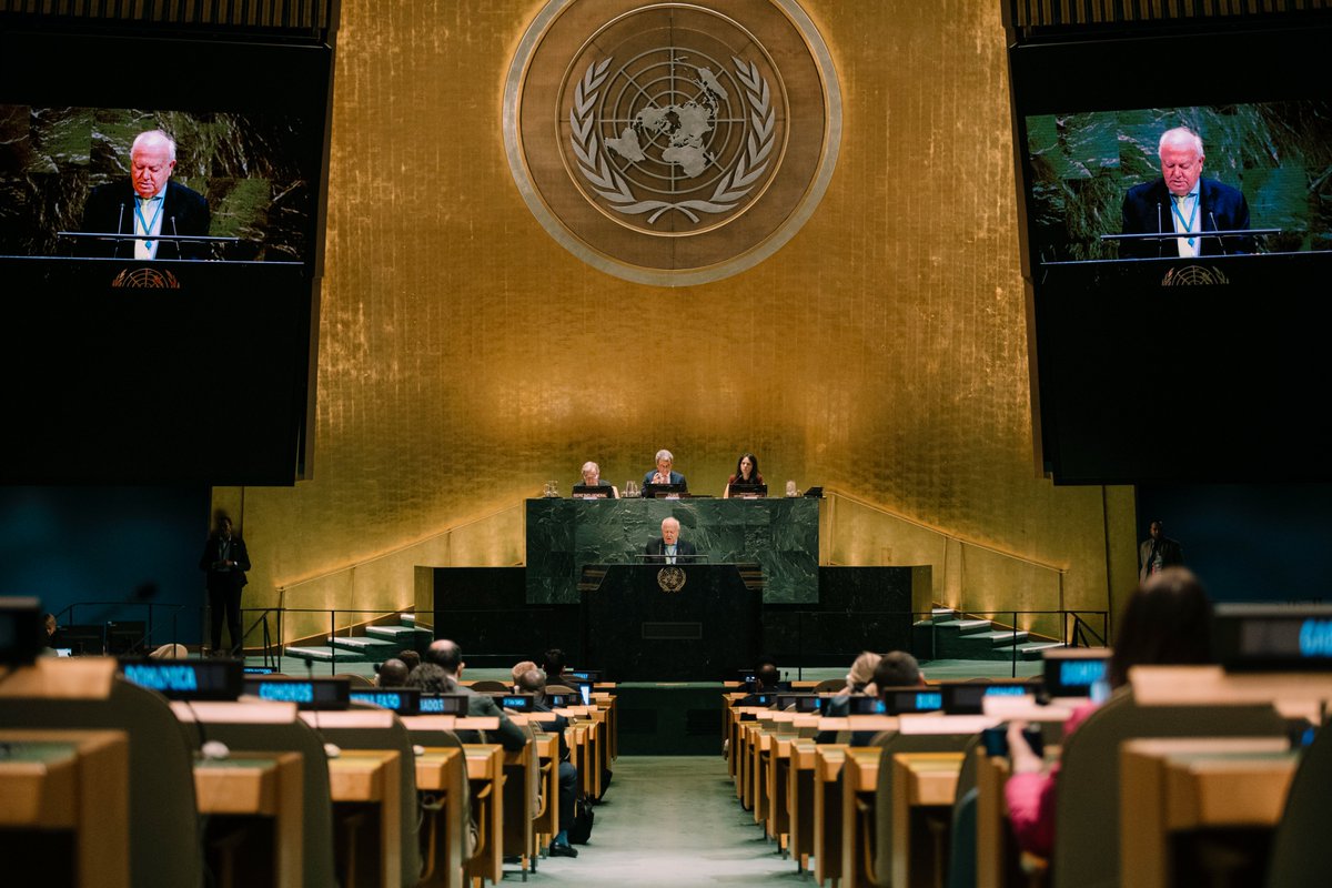UNAOC's tweet photo. 🎙️ Speaking at the commemoration of the International Day to #CombatIslamophobia yesterday, USG @MiguelMoratinos warns that rising anti-Muslim hatred reflects a wider surge in racism and bigotry globally.

🔗Full remarks ▶️ 
https://t.co/RklG5W3efN https://t.co/Ja6jp33hDQ