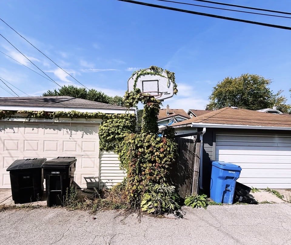 Dave Severns tweet media