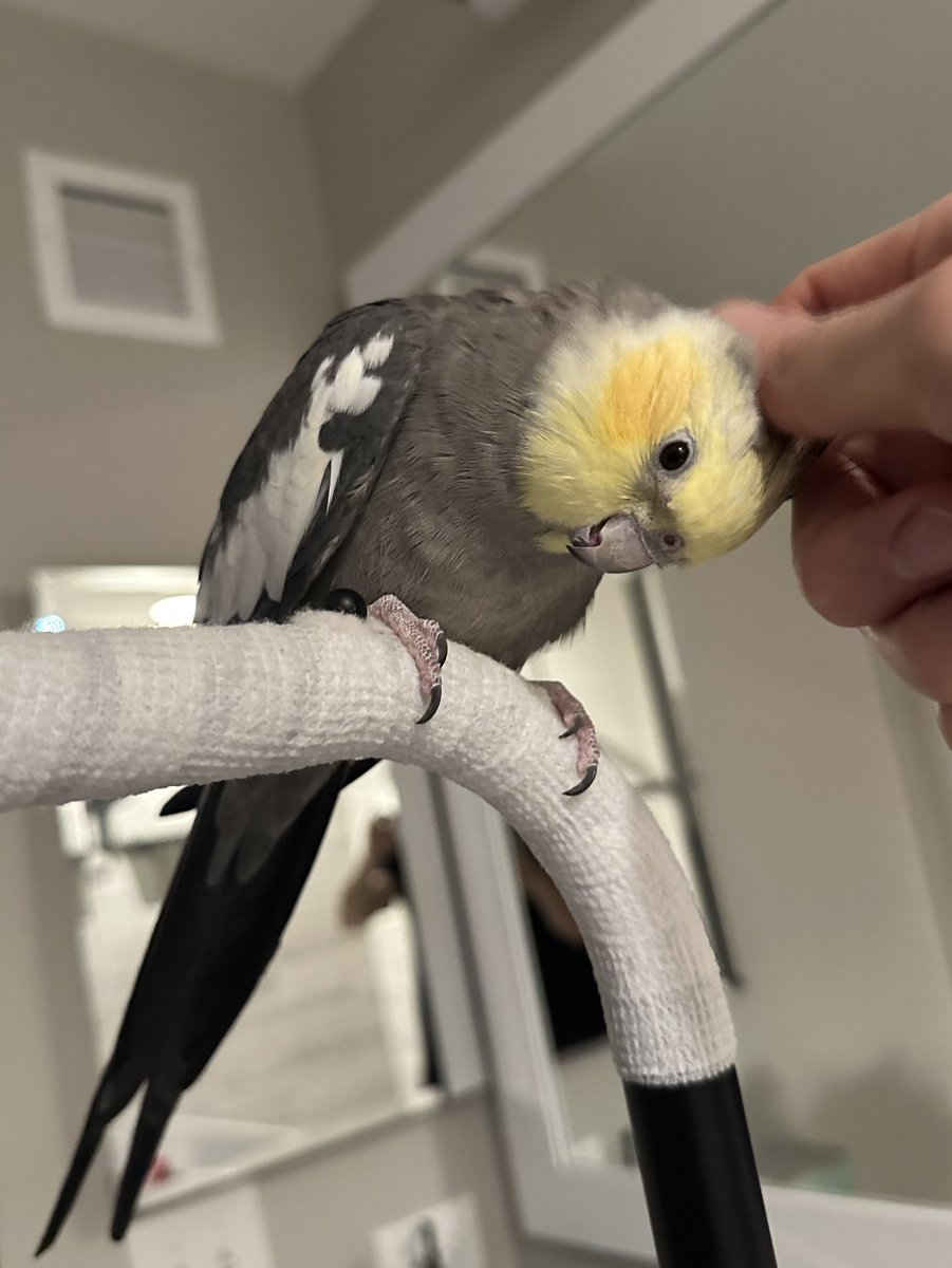 Mike Sands tweet media