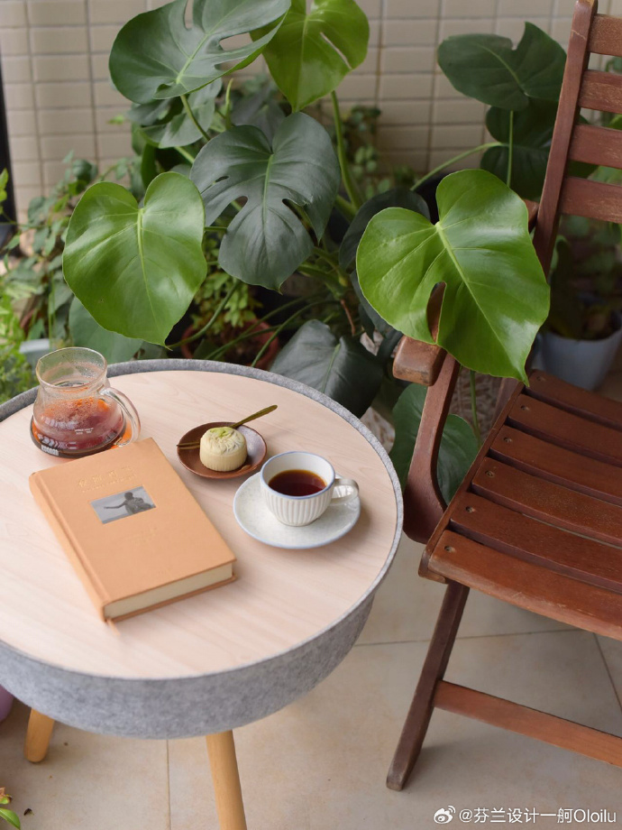 momen ali tweet media