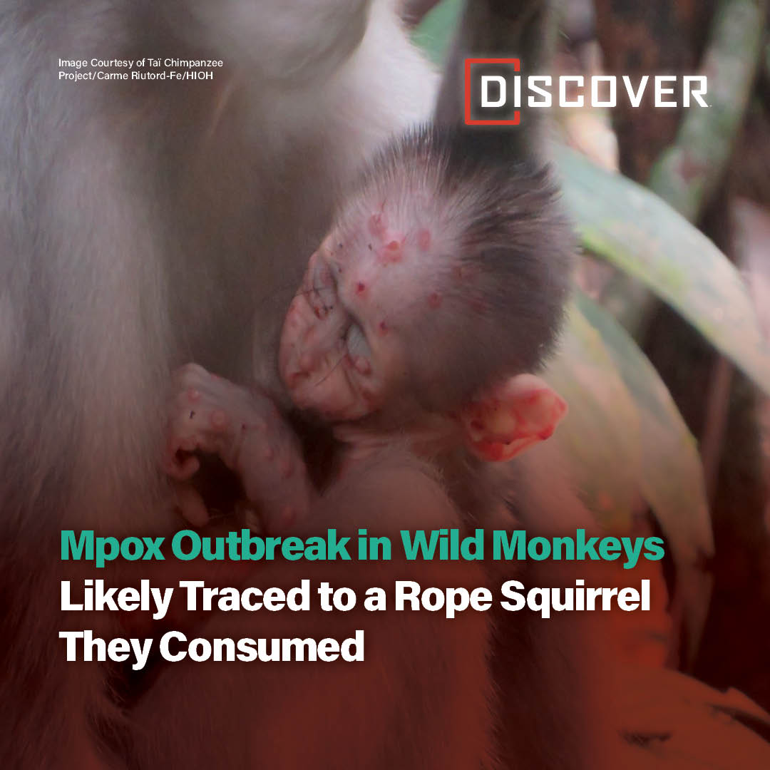 Discover Magazine tweet media