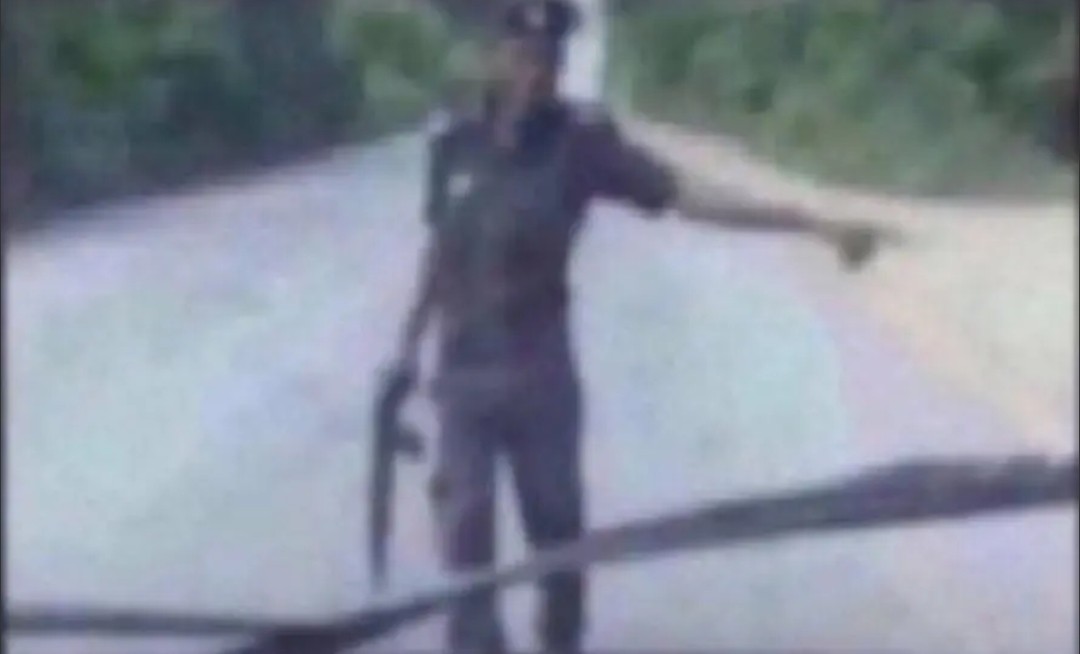 Davies😎😂 tweet media