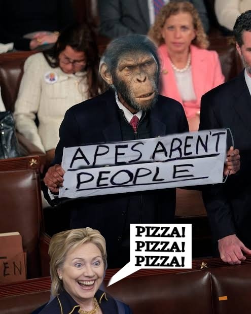 Oneoftwowitnesses tweet media