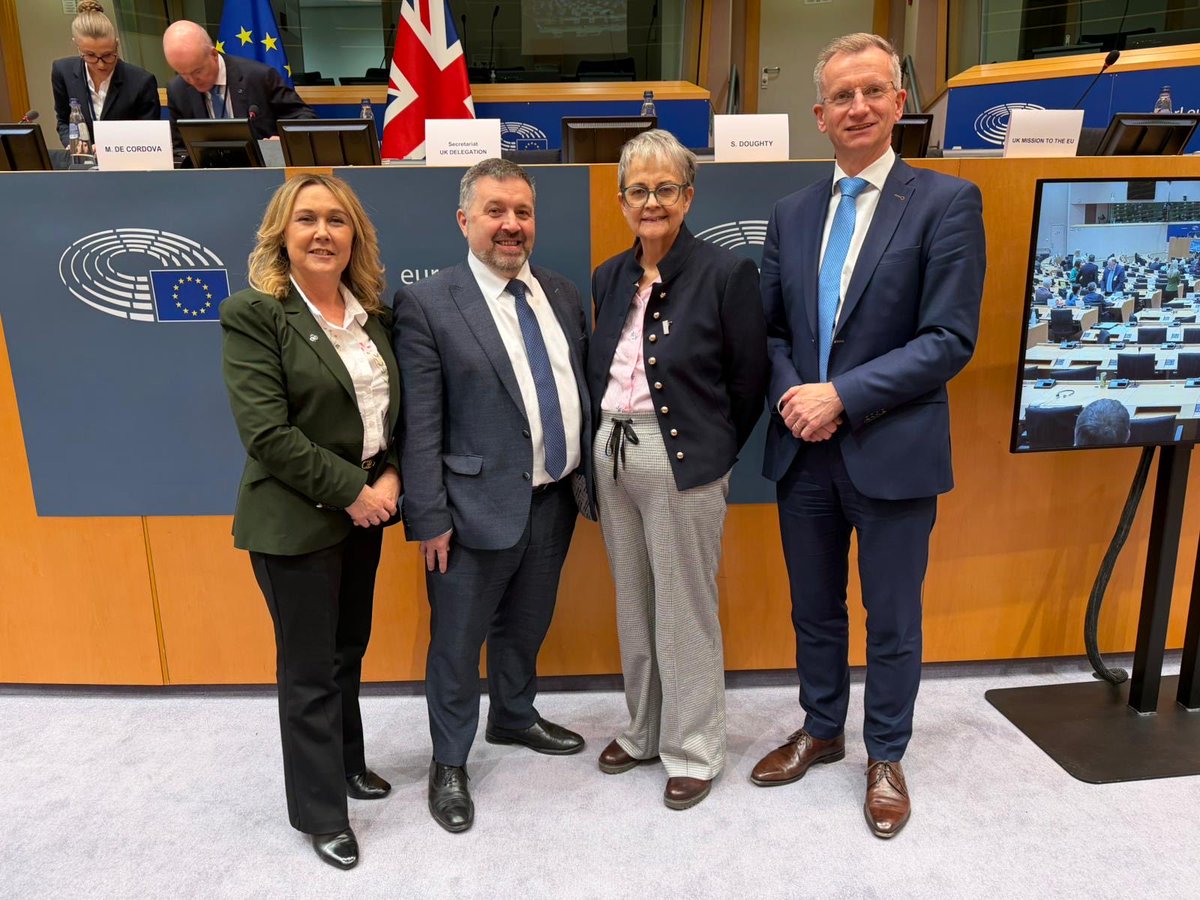 Brian Kingston tweet media