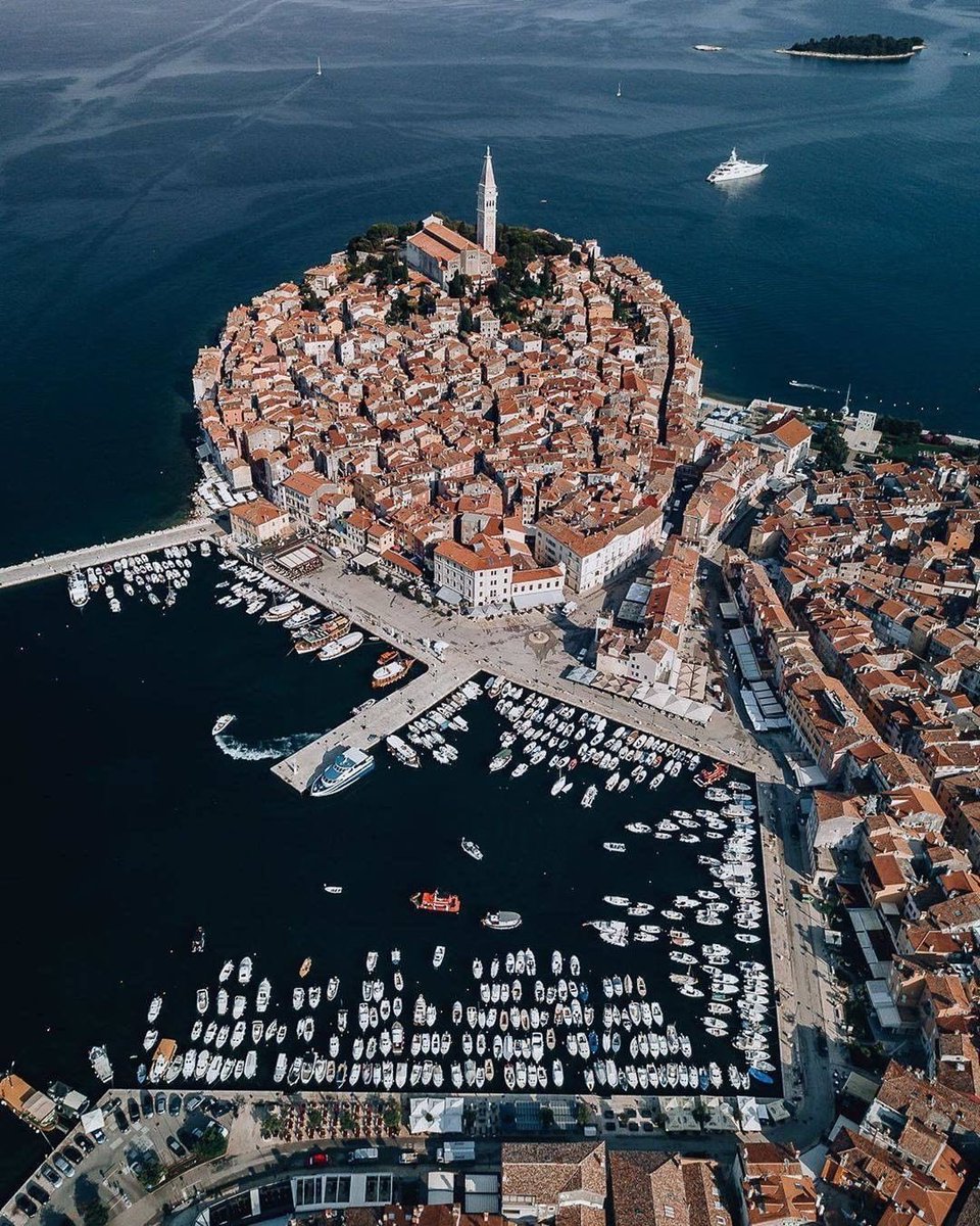 Old World Explorer tweet media