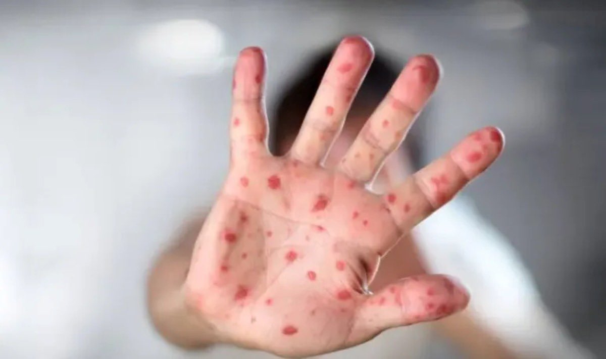 make argentina gay again tweet media