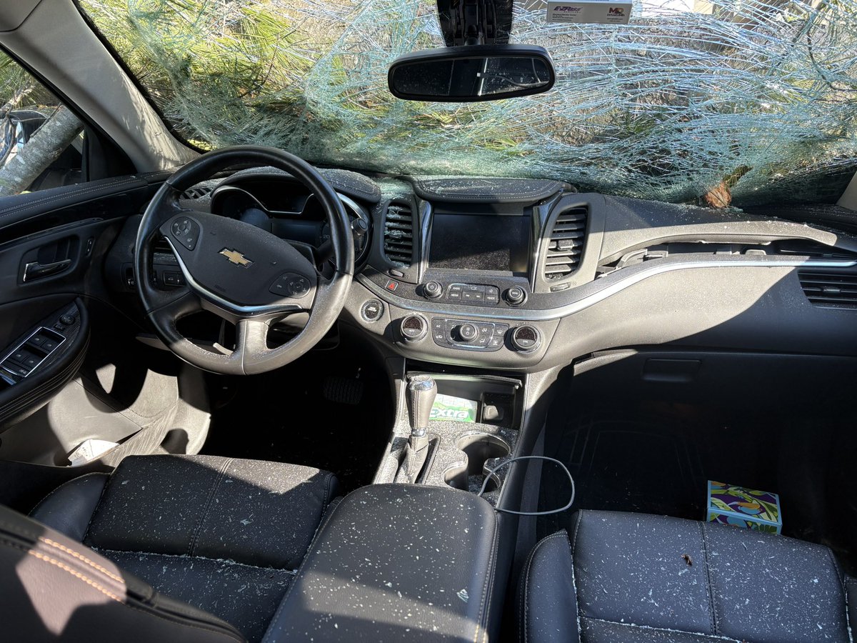 Joe Cicenia tweet media