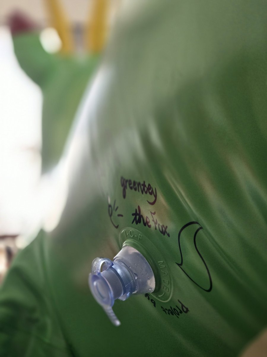 グリンティフォックス/GreenteyFox🍃 tweet media