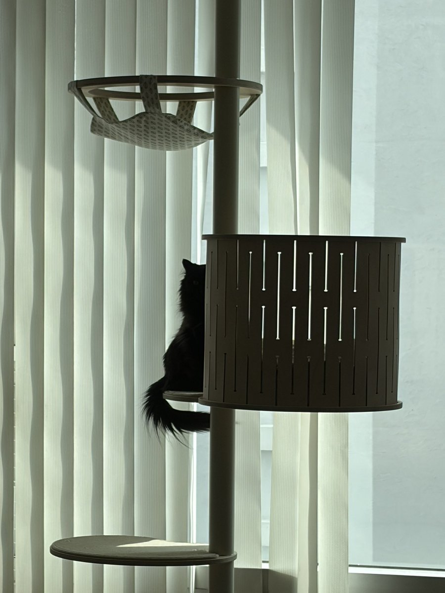 제로 콜라🥤 tweet media