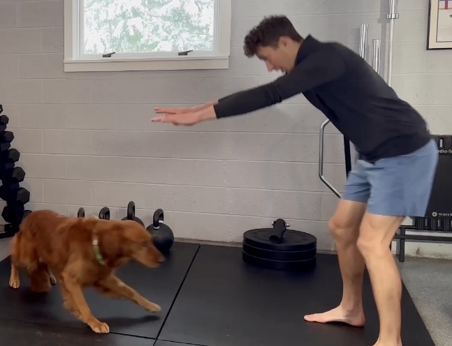 Tyler Van Acker tweet media