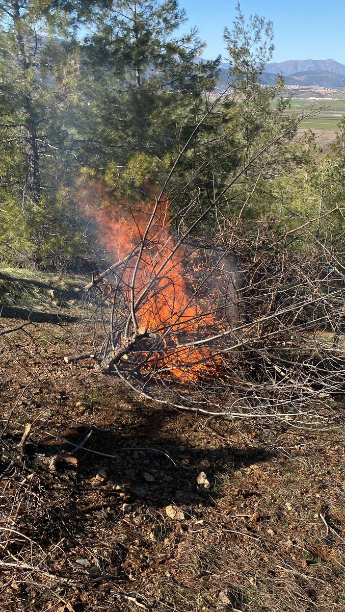Ormanlarda Zararlılara Karşı Mücadele Sürüyor
Kahramanmaraş Orman Bölge Müdürlüğü sorumluluk alanındaki ormanlarda, Akdeniz kabuk böceği ve Akdeniz orman bahçıvanı zararlılarına karşı mücadeleye aralıksız devam ediyoruz.