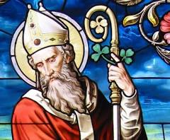 Before The Hype tweet media