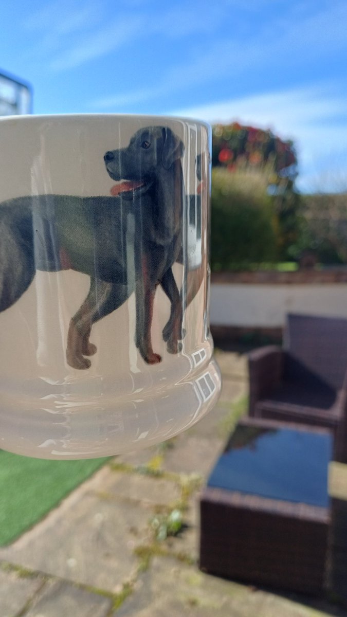 Sara Sutton tweet media