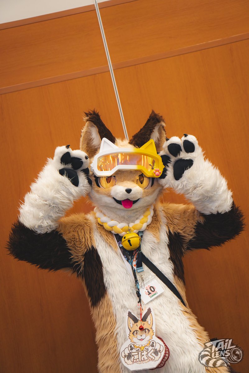 TailLens(テイルレンズ)🦝📸▶未定 tweet media