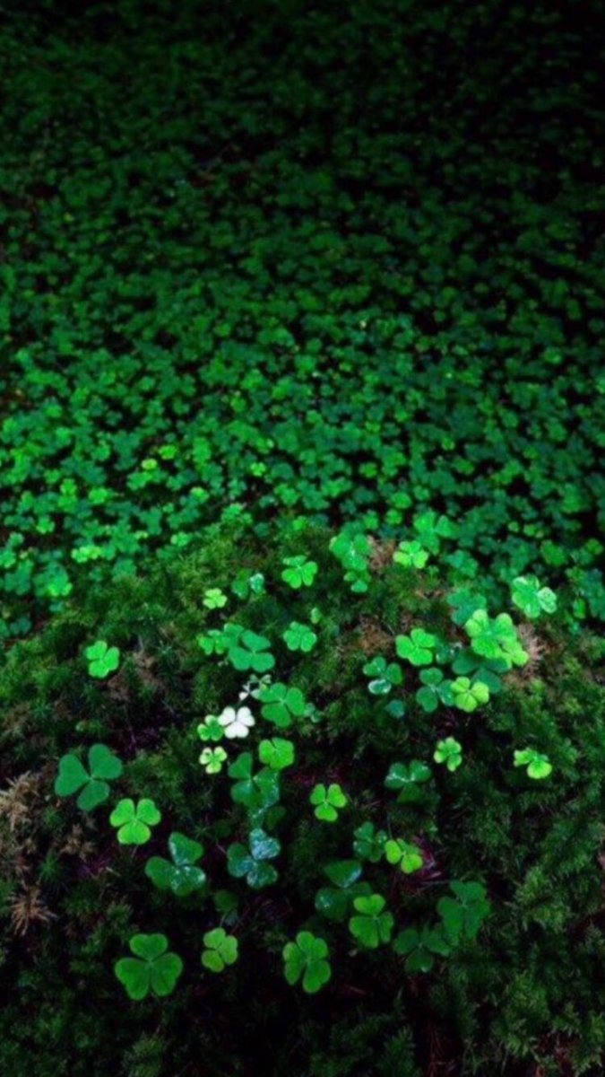 Rob Powell tweet media