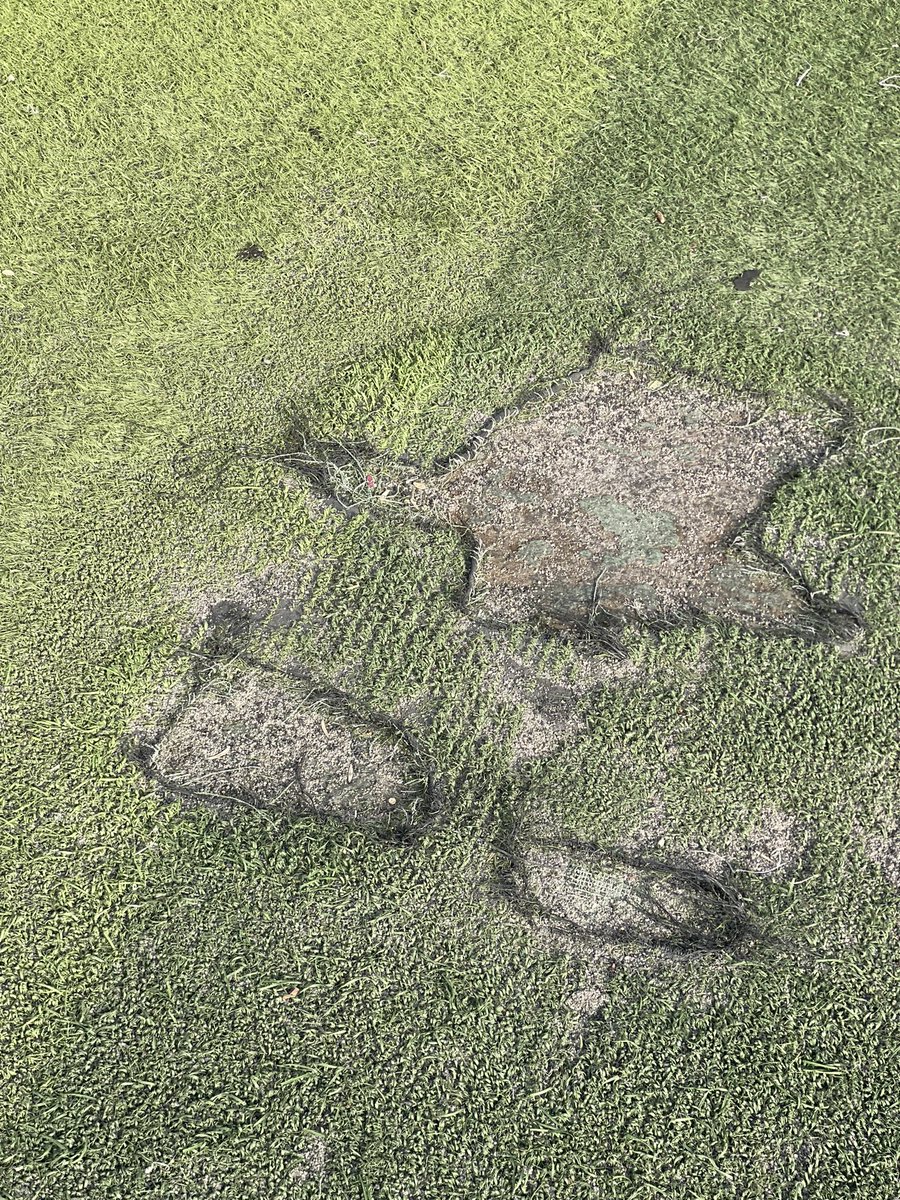 المحامي عبدالعزيز الضفيان tweet media