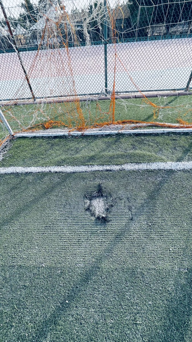 المحامي عبدالعزيز الضفيان tweet media