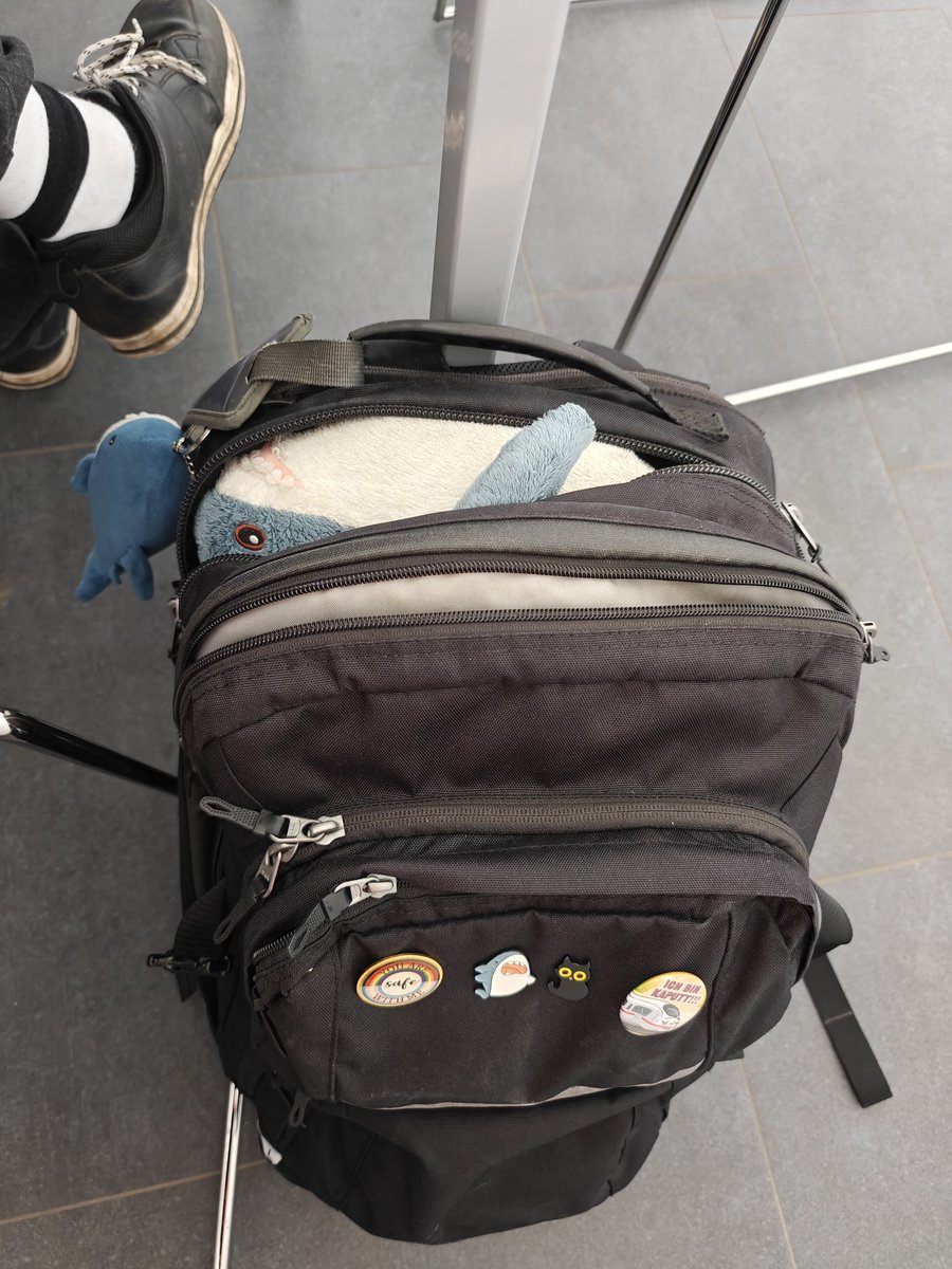 Splatty 🚈🇩🇪 tweet media