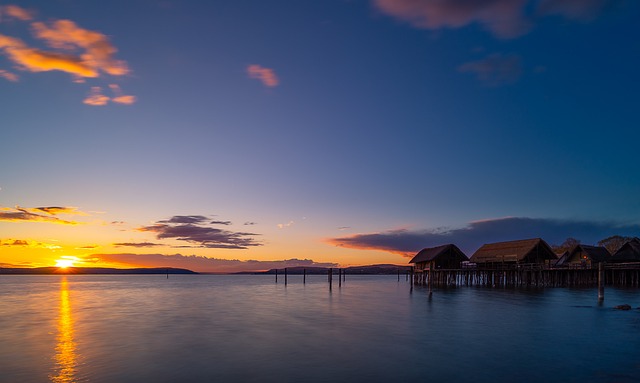 Bobby Kajzer tweet media