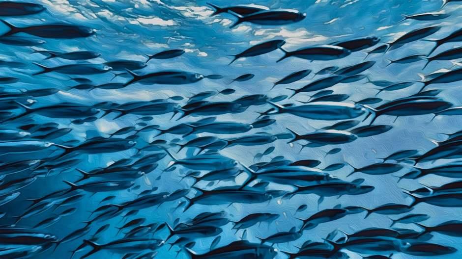 Pew Environment tweet media