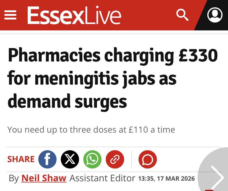 Bohemian Atmosphere tweet media