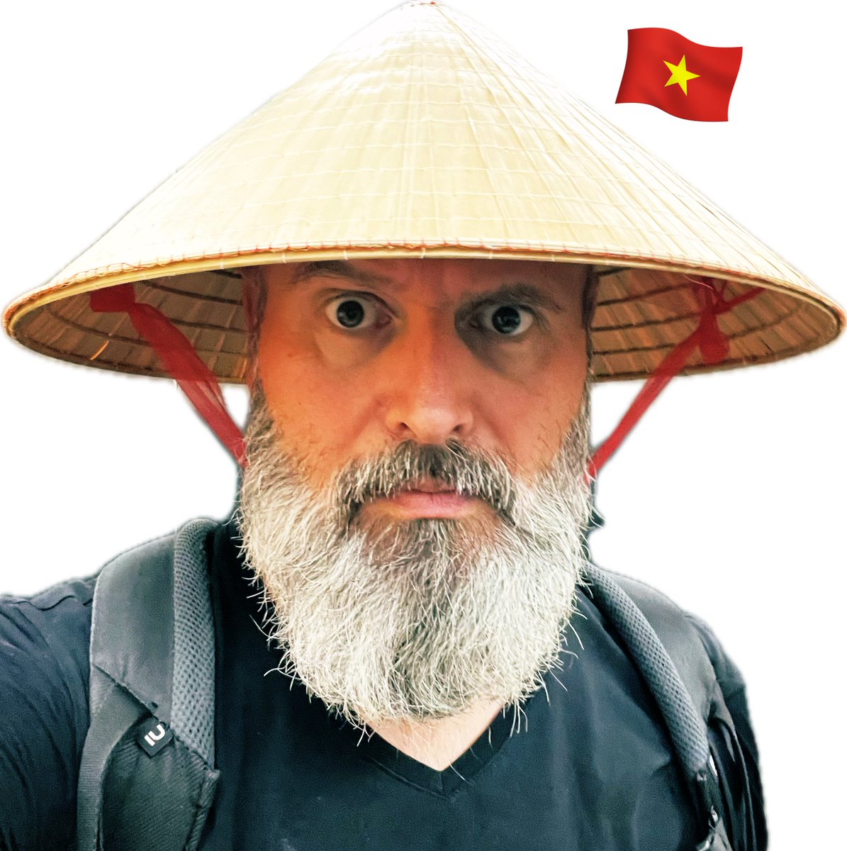 beeman 🐝 tweet media