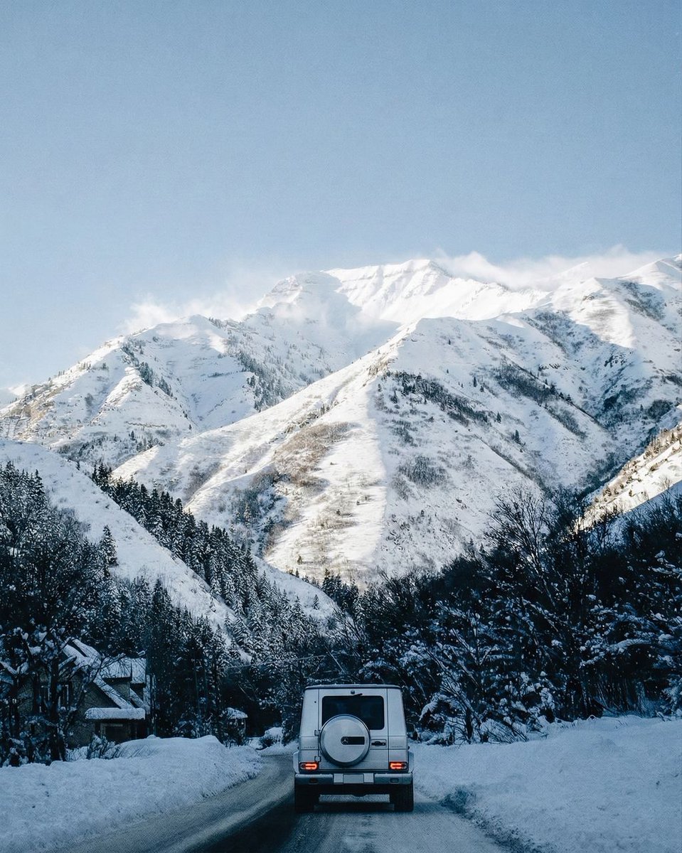 Globizen™️ tweet media