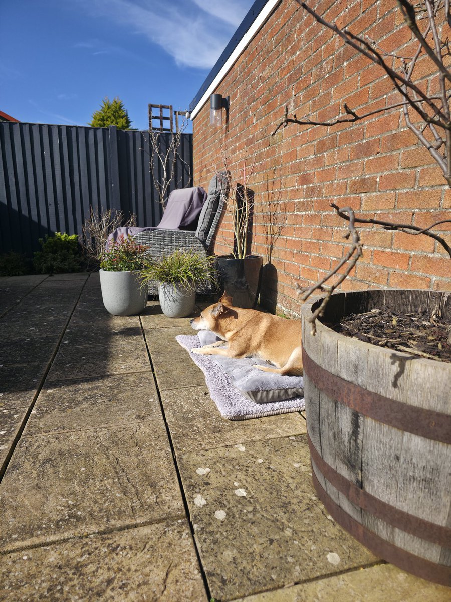 Shaun Cole tweet media