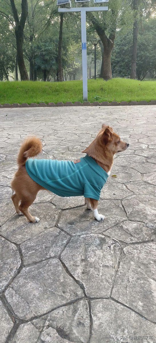 Melvin Youmans tweet media