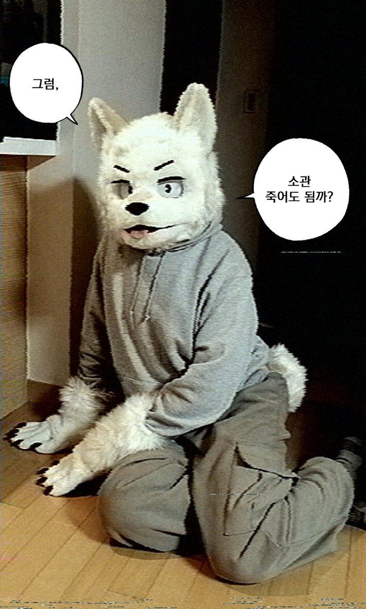 동지혁🔜FurstClass tweet media