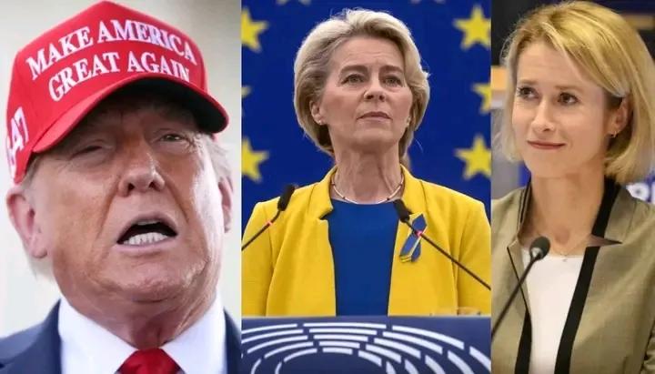 The Day Warrior tweet media