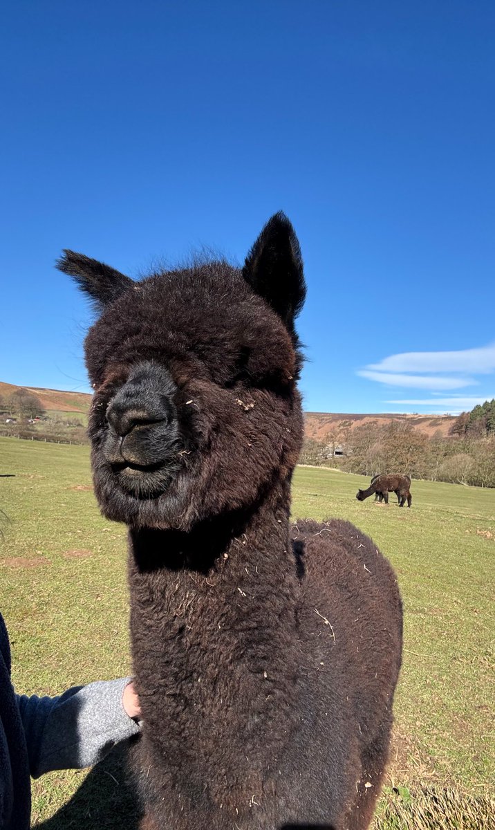 I know Saffron the sun is shining 👏🏻