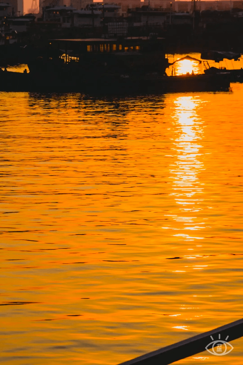 _fernandocardoso tweet media