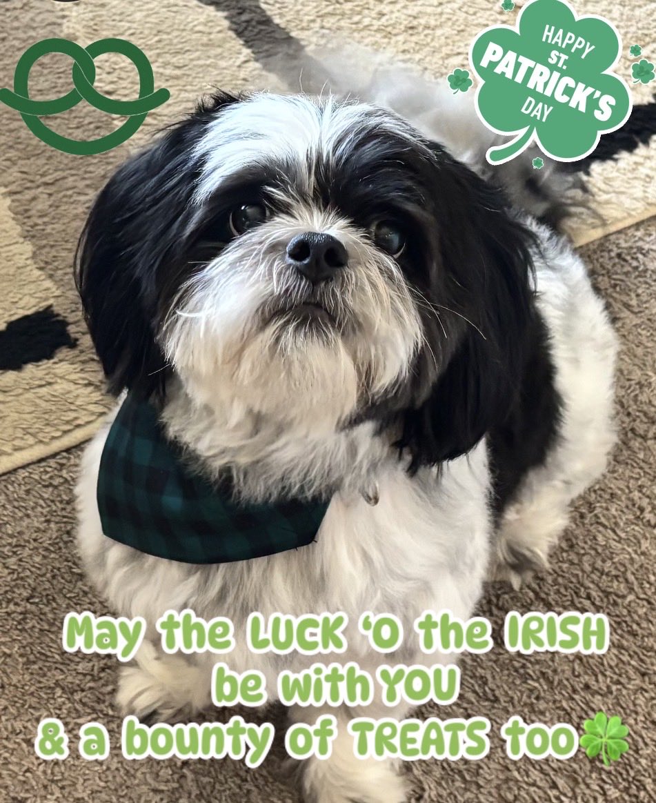 Happy 🍀 Day💚🤘