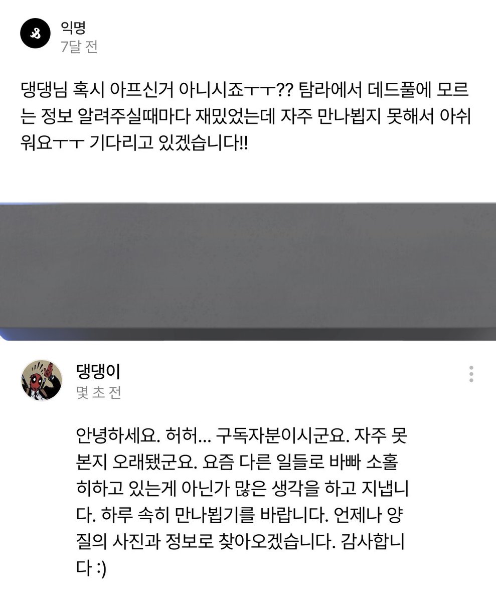 댕댕이 tweet media